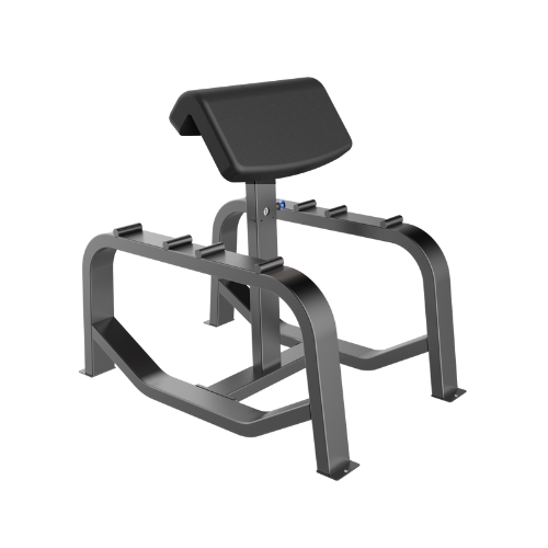 preacher curl (1)
